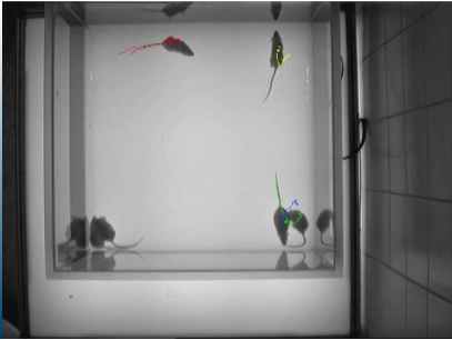 首页- 南宫NG28国际集团官方网站