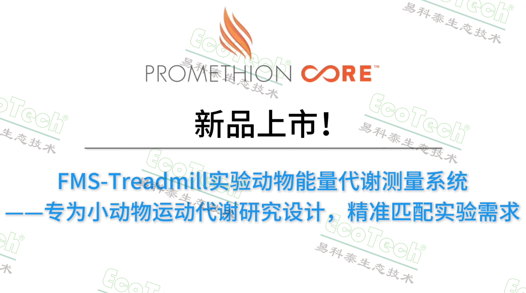 首页- 南宫NG28国际集团官方网站