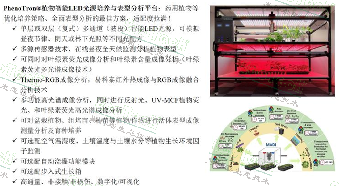 首页- 南宫NG28国际集团官方网站