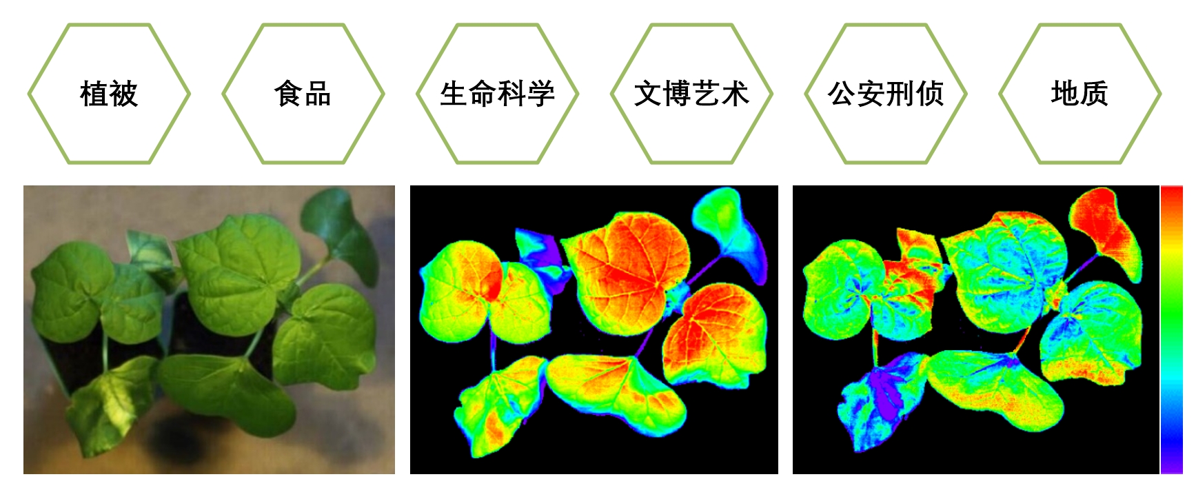 首页- 南宫NG28国际集团官方网站