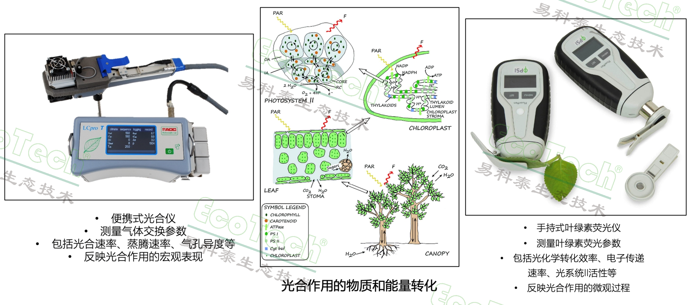 首页- 南宫NG28国际集团官方网站