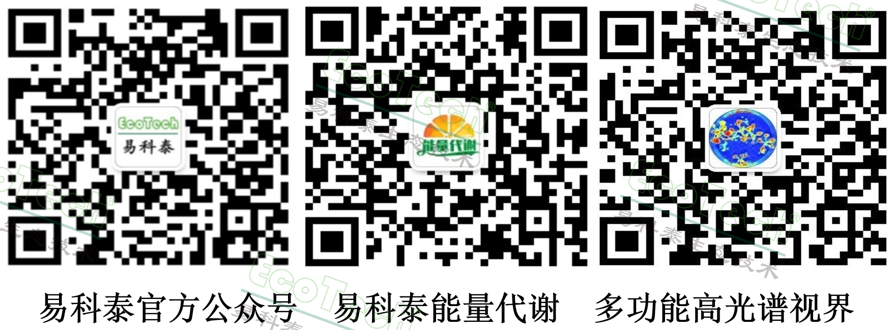 首页- 南宫NG28国际集团官方网站