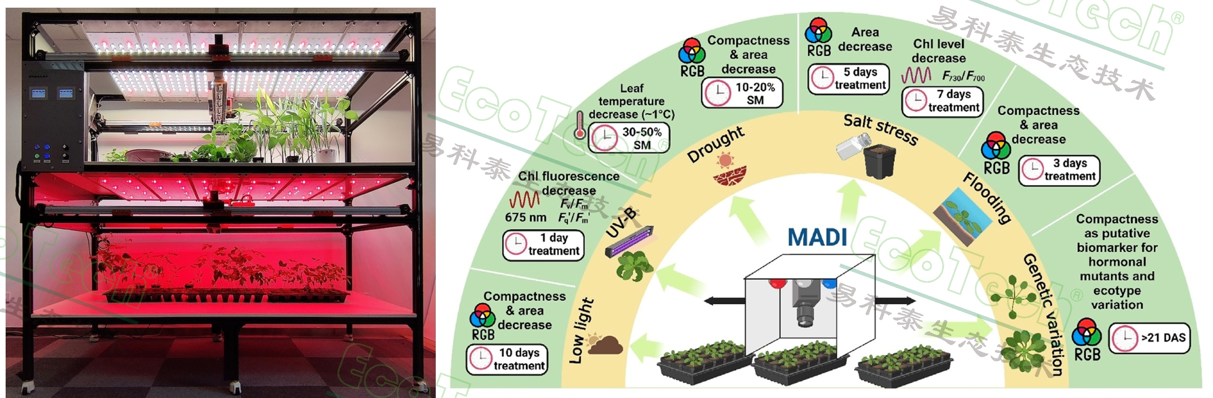 首页- 南宫NG28国际集团官方网站